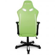 ZQRacing Viper Series Gaming Office Chair Fern White Deno Sale ZQRacing